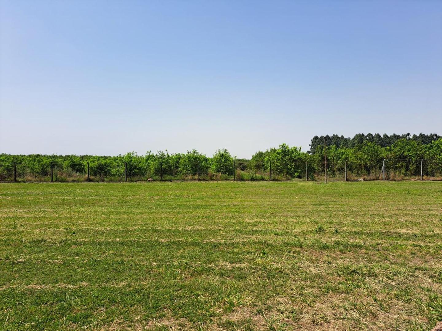 Terreno en Venta de 577,0 m2