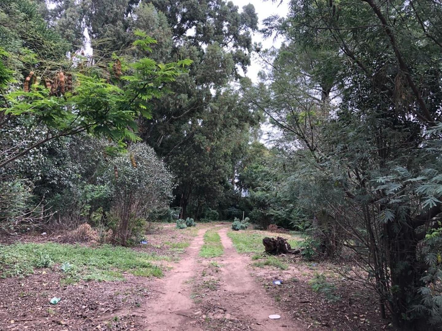 Terreno en Venta en Villa Elena, USD 135.000