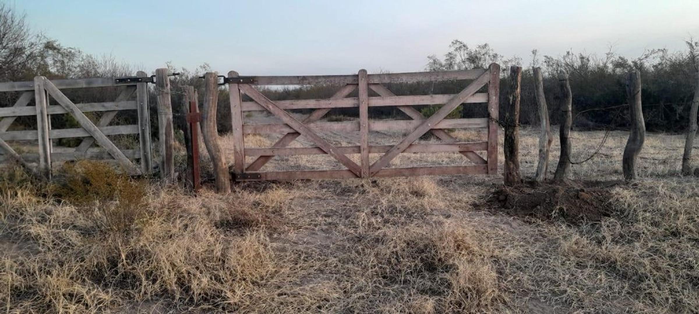 Ruta Nacional 188 kilometro 733