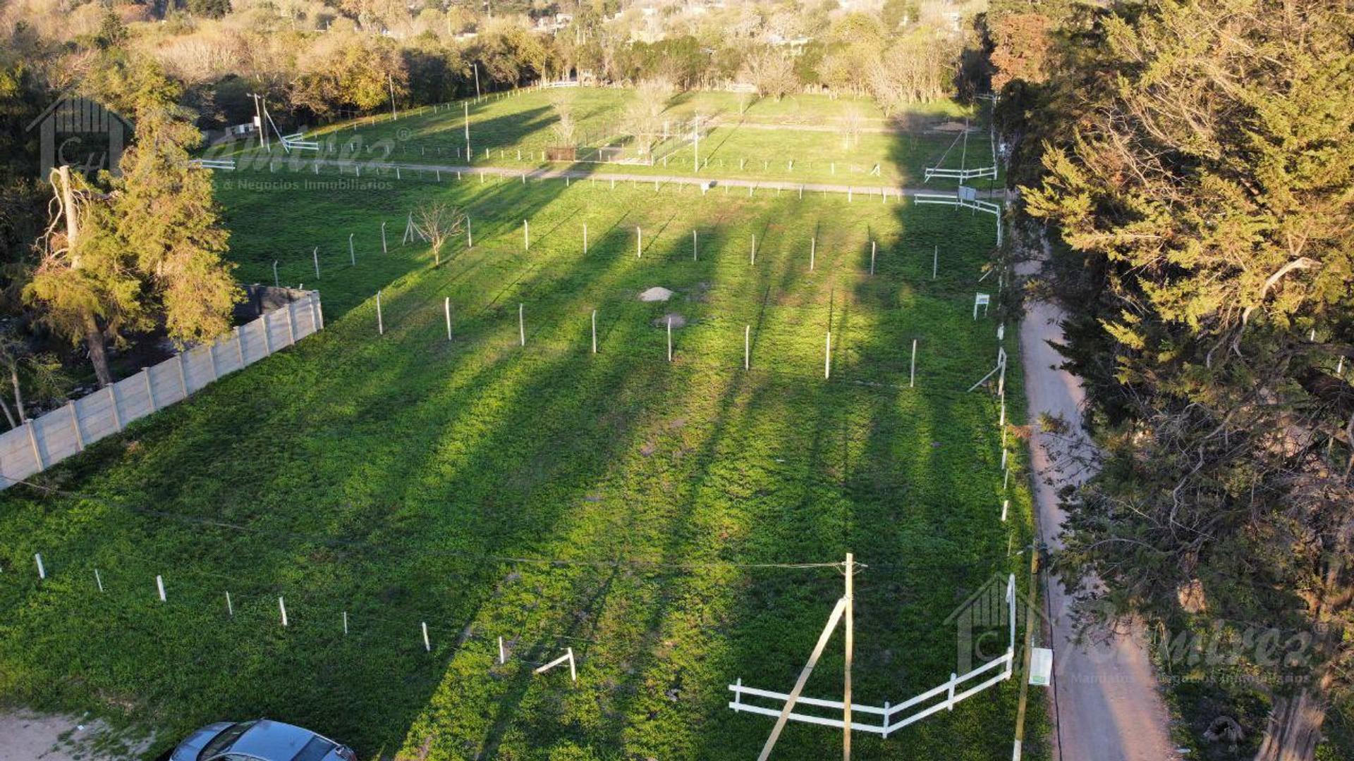 Enrique Larreta al 8300