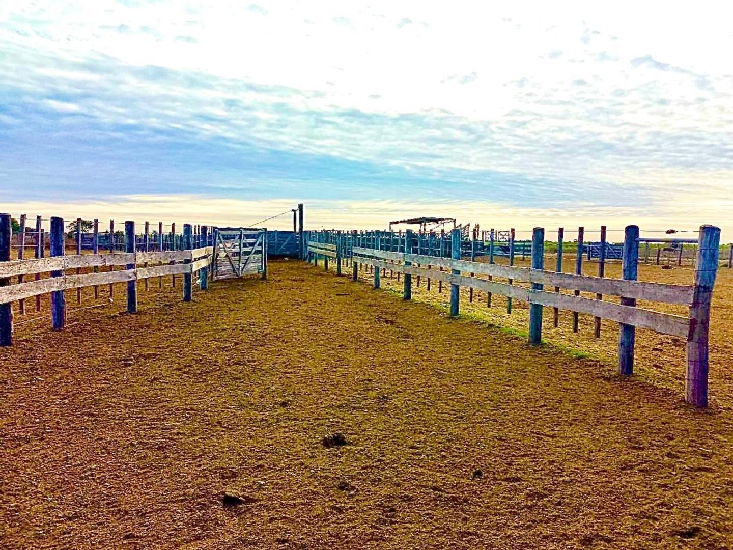 Campo MIXTO 3.000 hectáreas LOGROÑO SANTA FE