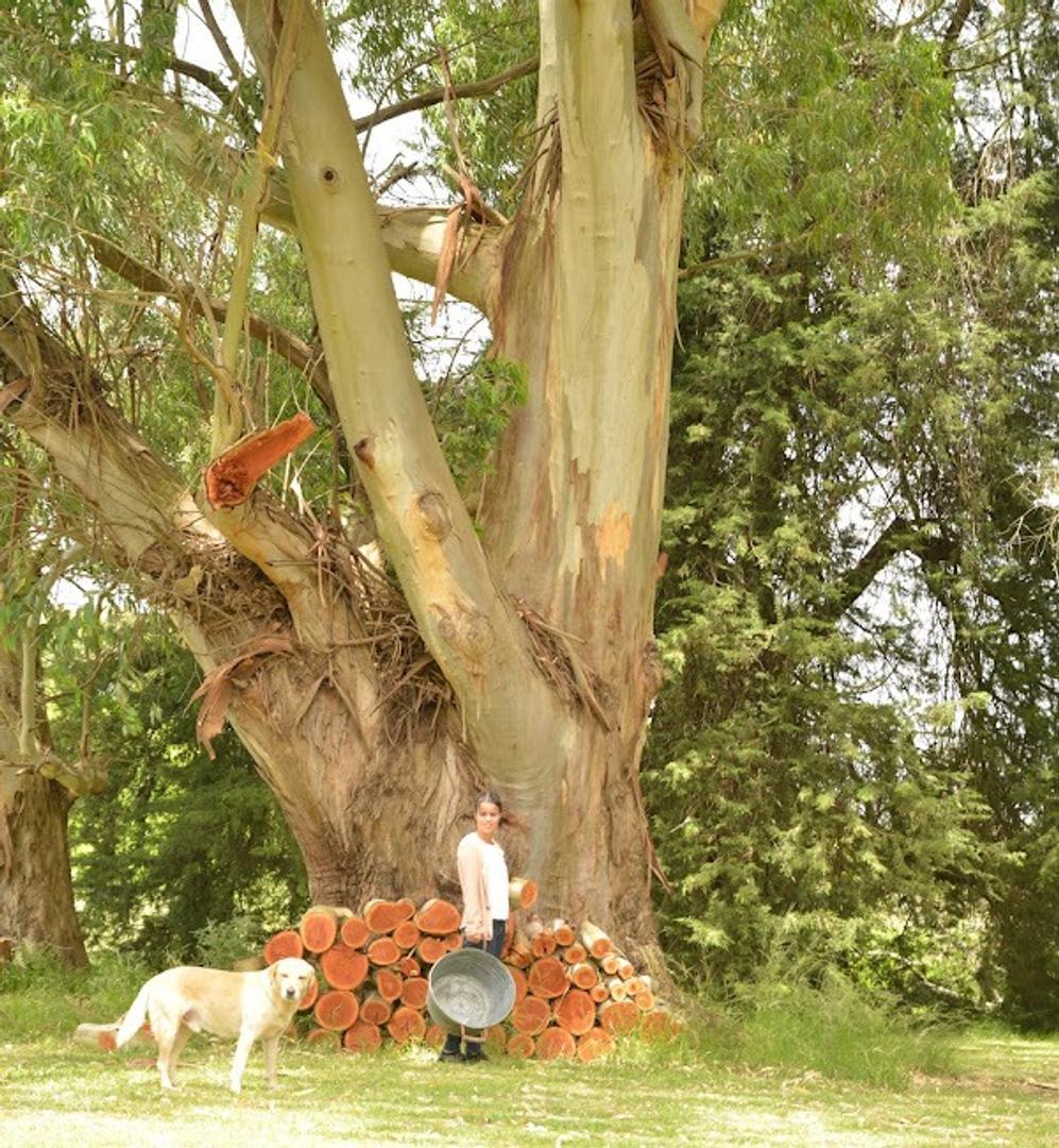 Lote Terreno venta En Barrio San Juan Chico