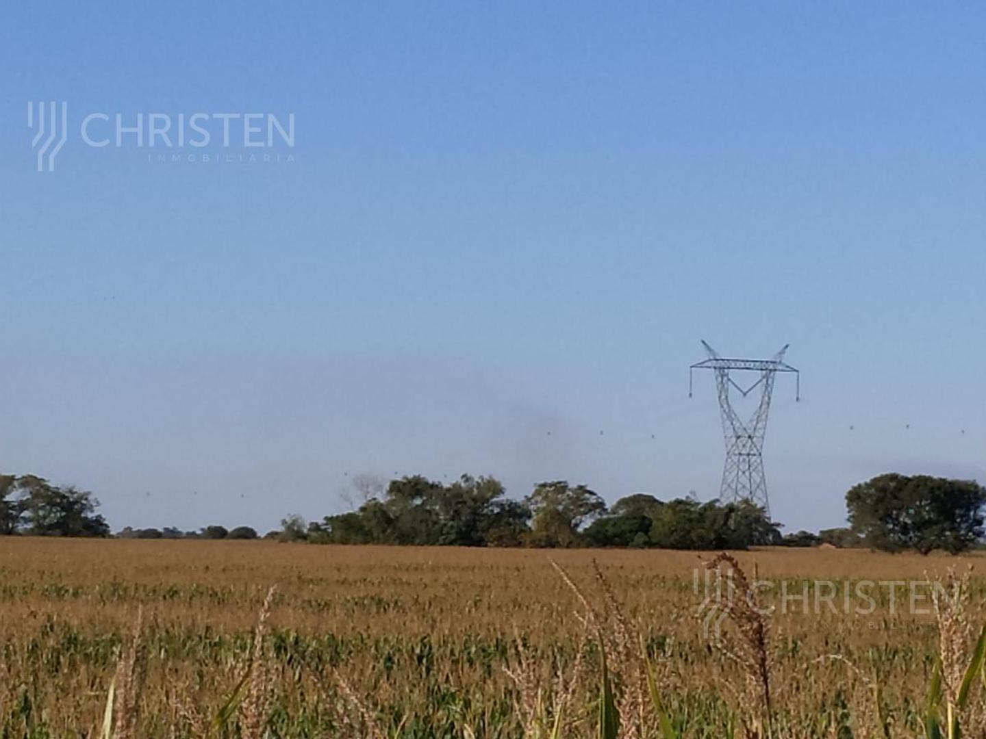 100 HECTAREAS AGRICOLAS EN CAYASTACITO