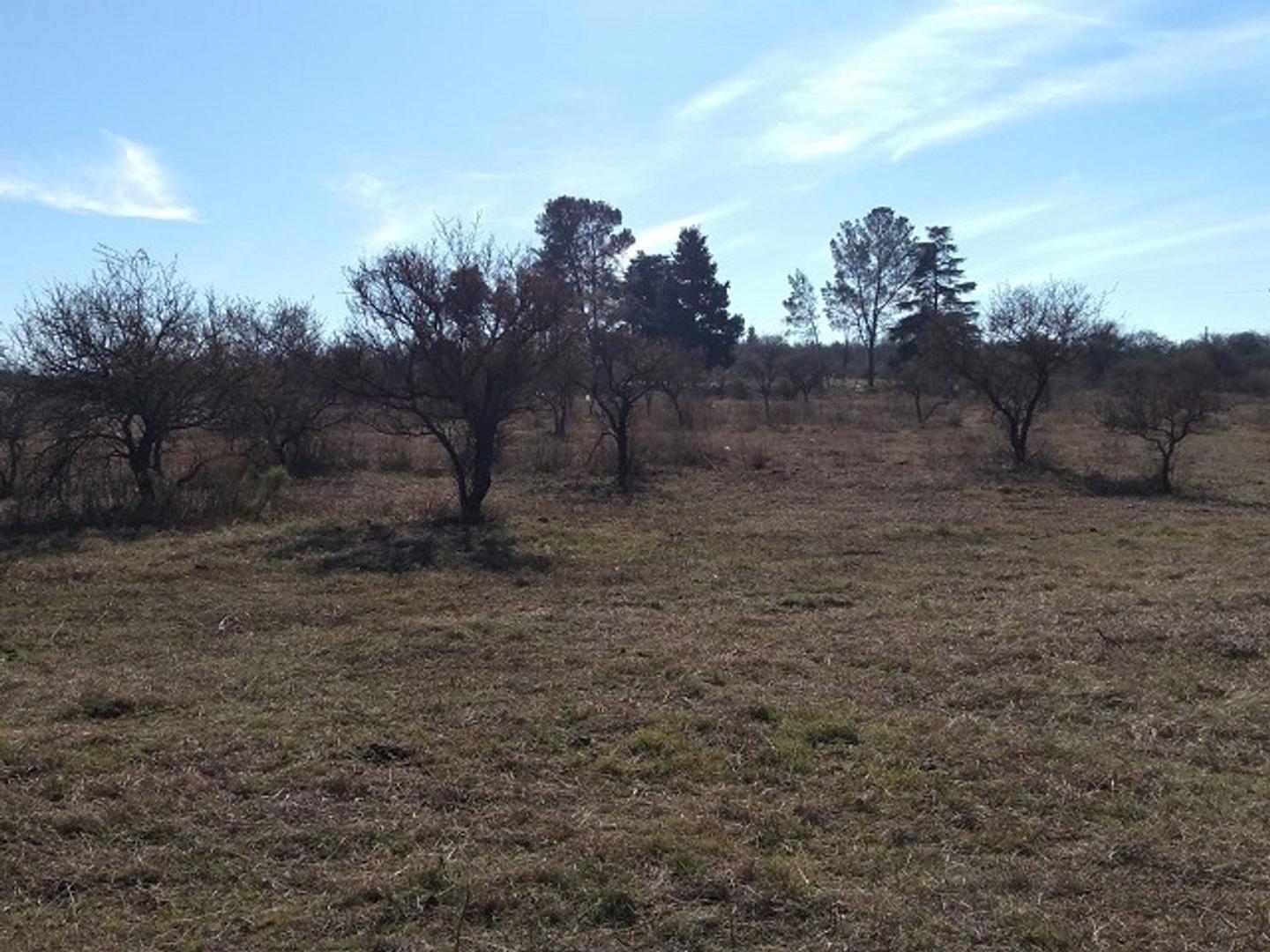 Terreno en Venta en Villa Los Aromos, USD 20.000