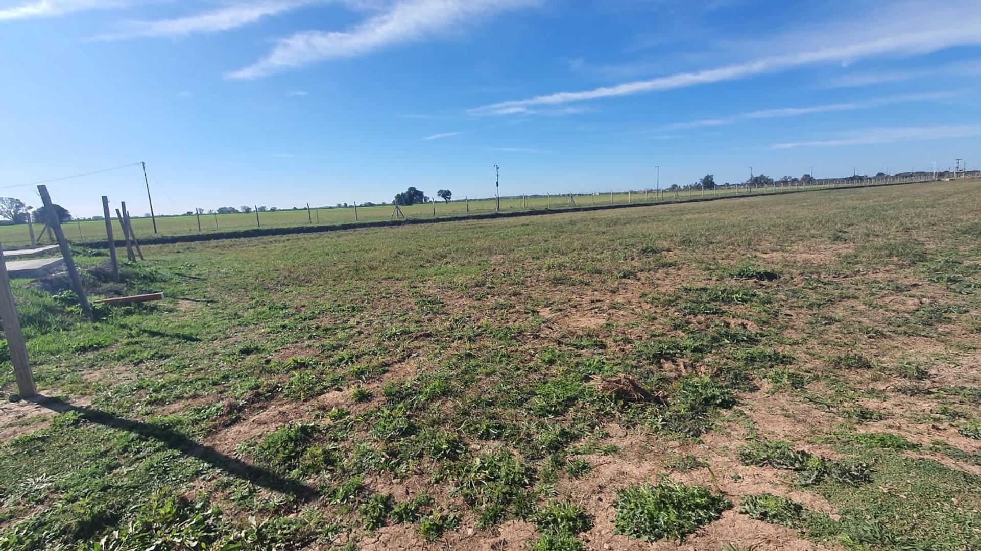 Terreno en Venta de 817,0 m2