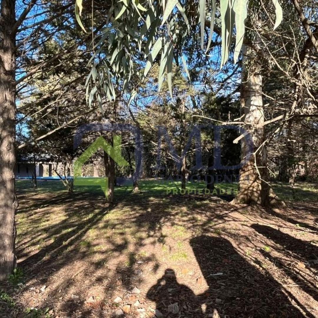 Calle 110 Entre 49/51