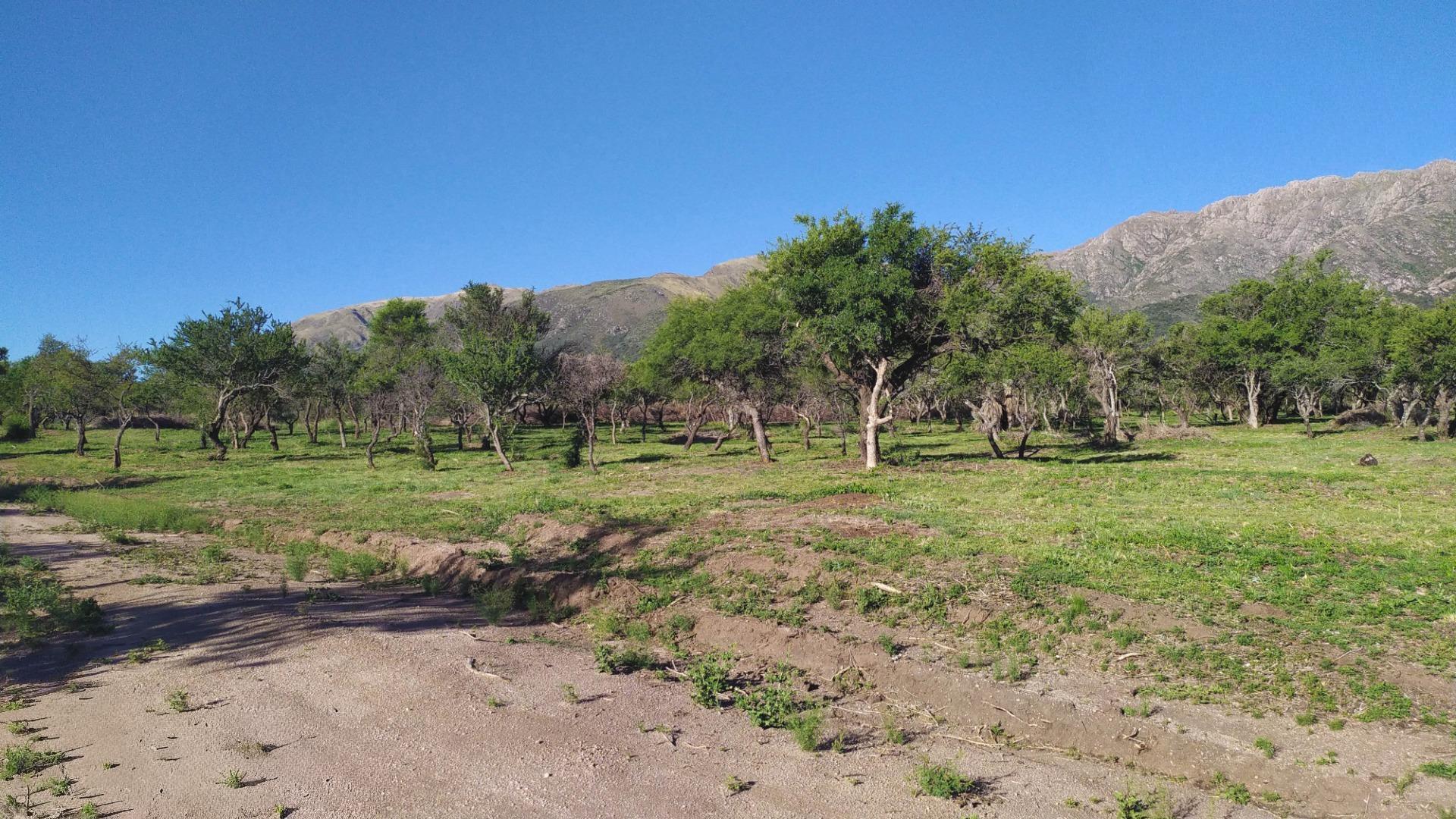 Terreno en Venta en Zona Dique Piscu Yaco, $ 5.000.000