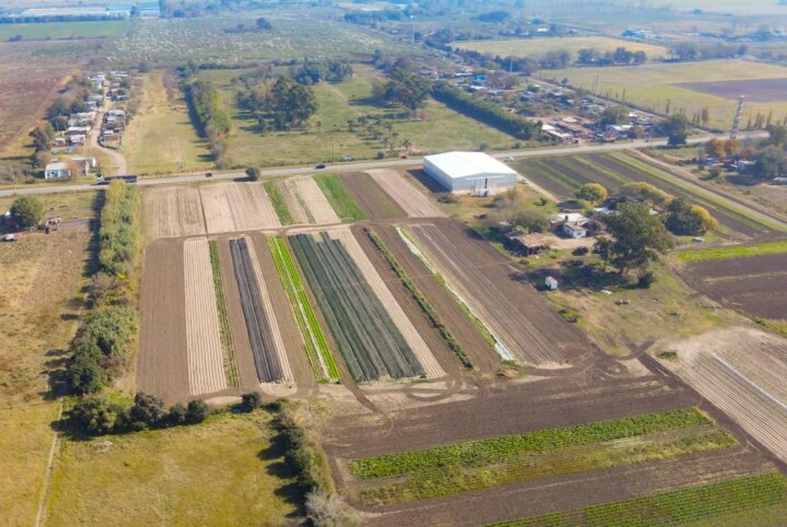 Terreno en Venta 76  mts Fondo