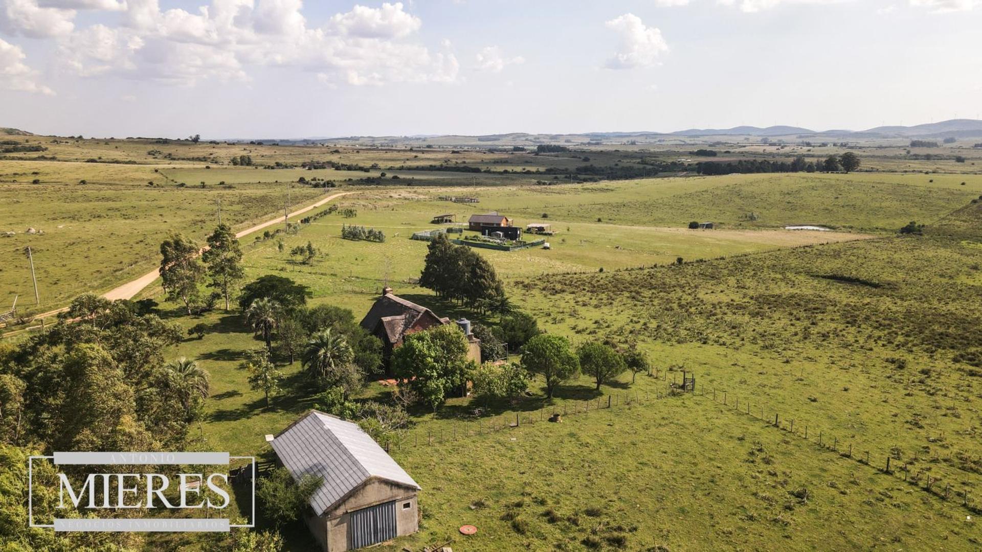 Venta de campo 29 ha con casa en Paso Dutra Maldonado