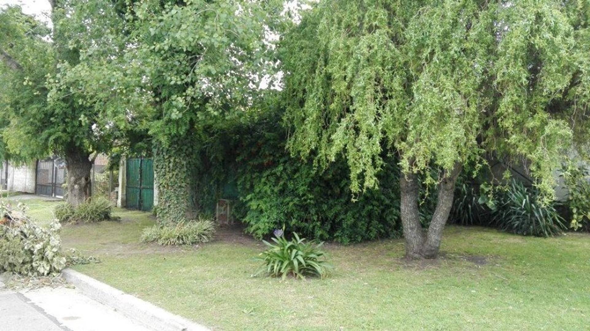 Juan Bautista De La Salle 1300