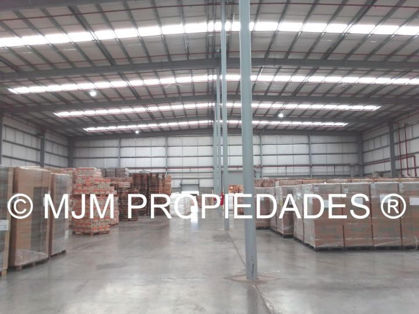 Lisando de la Torre 500 , Piso 0