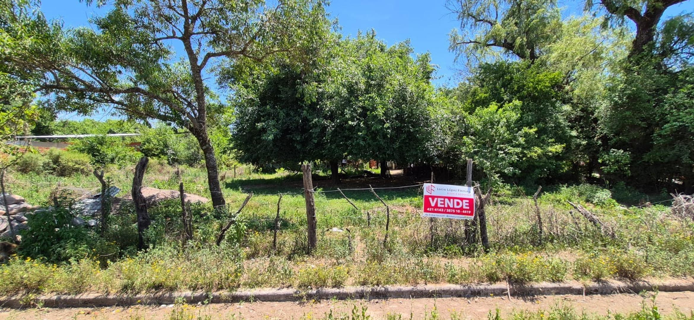 Los Pensamientos 100