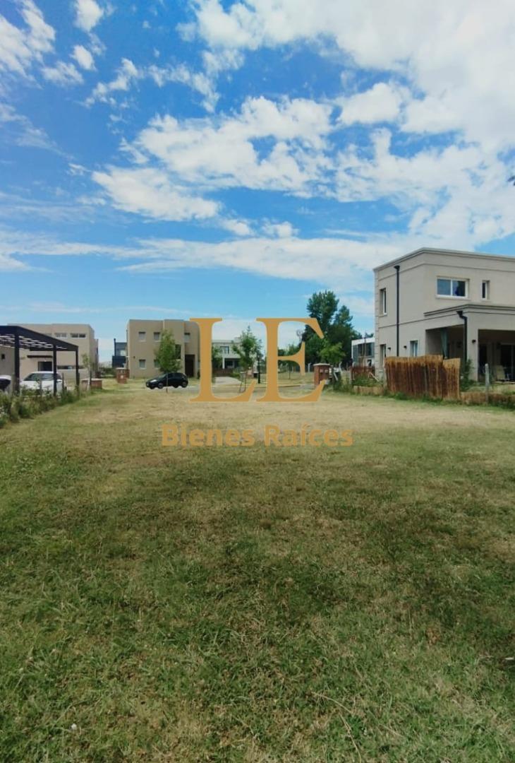 VENTA LOTE EN PILAR DEL ESTE