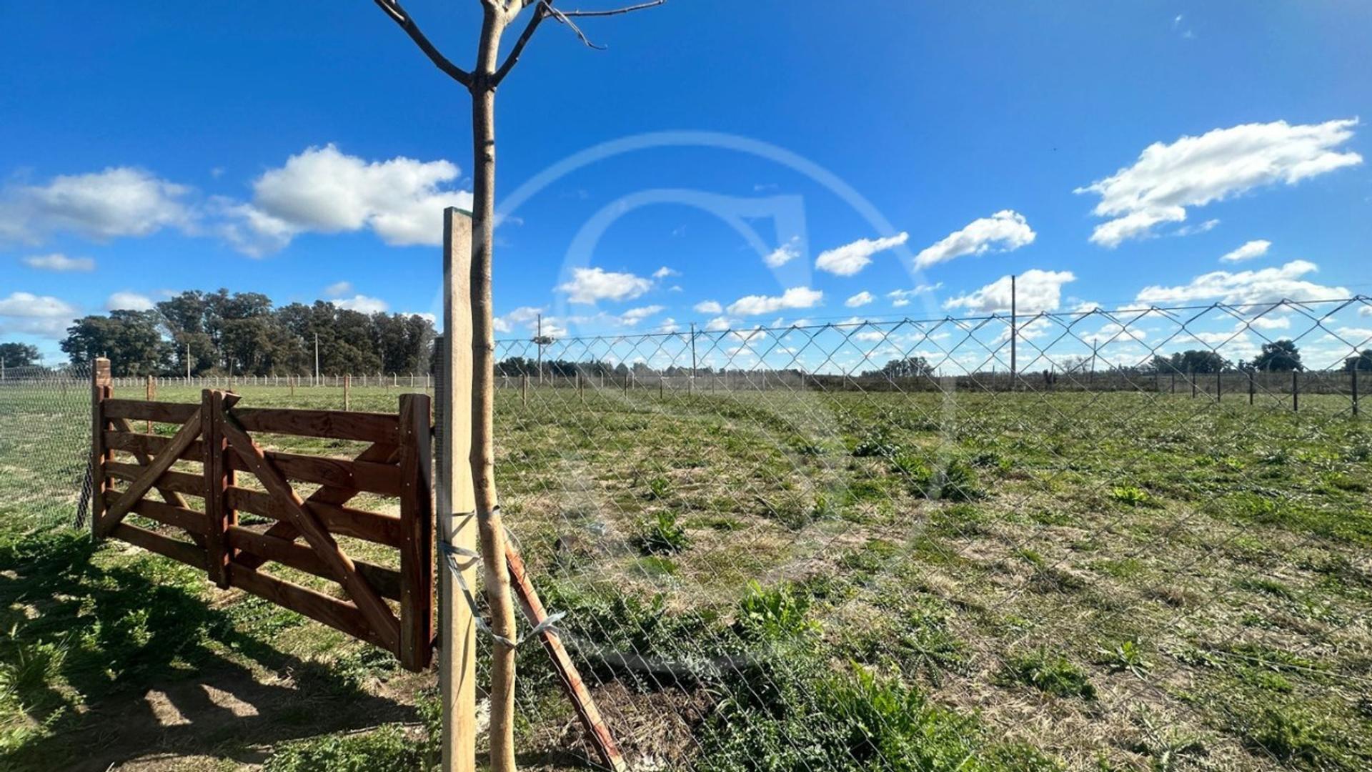 Rio Sauce Grande 100