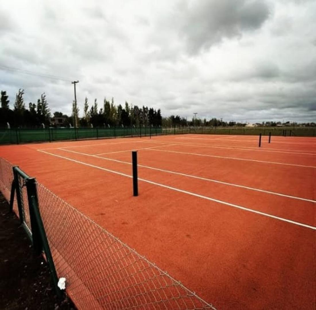 lote central en ficas joven san vicente