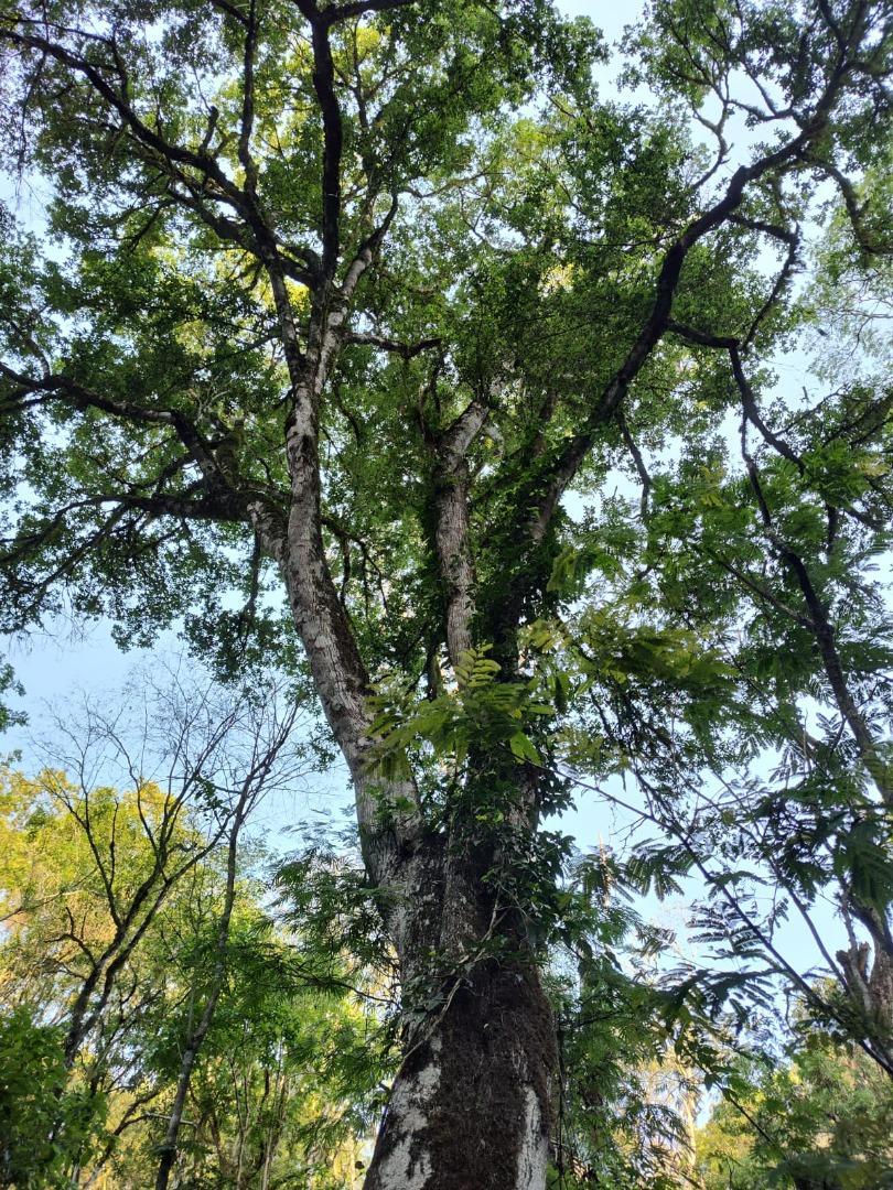 UNA JOYA  PARA  ECOTURISMO