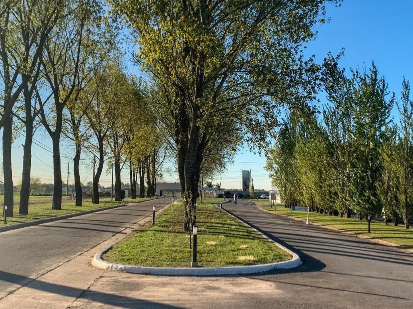 Venta Lote Barrio La Alameda