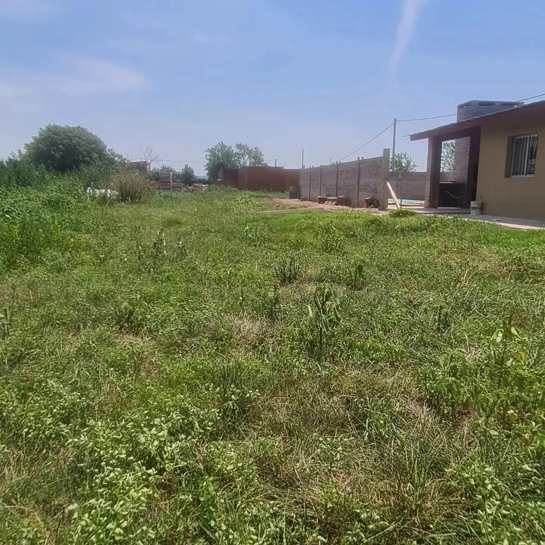 Froylan Palacios 300