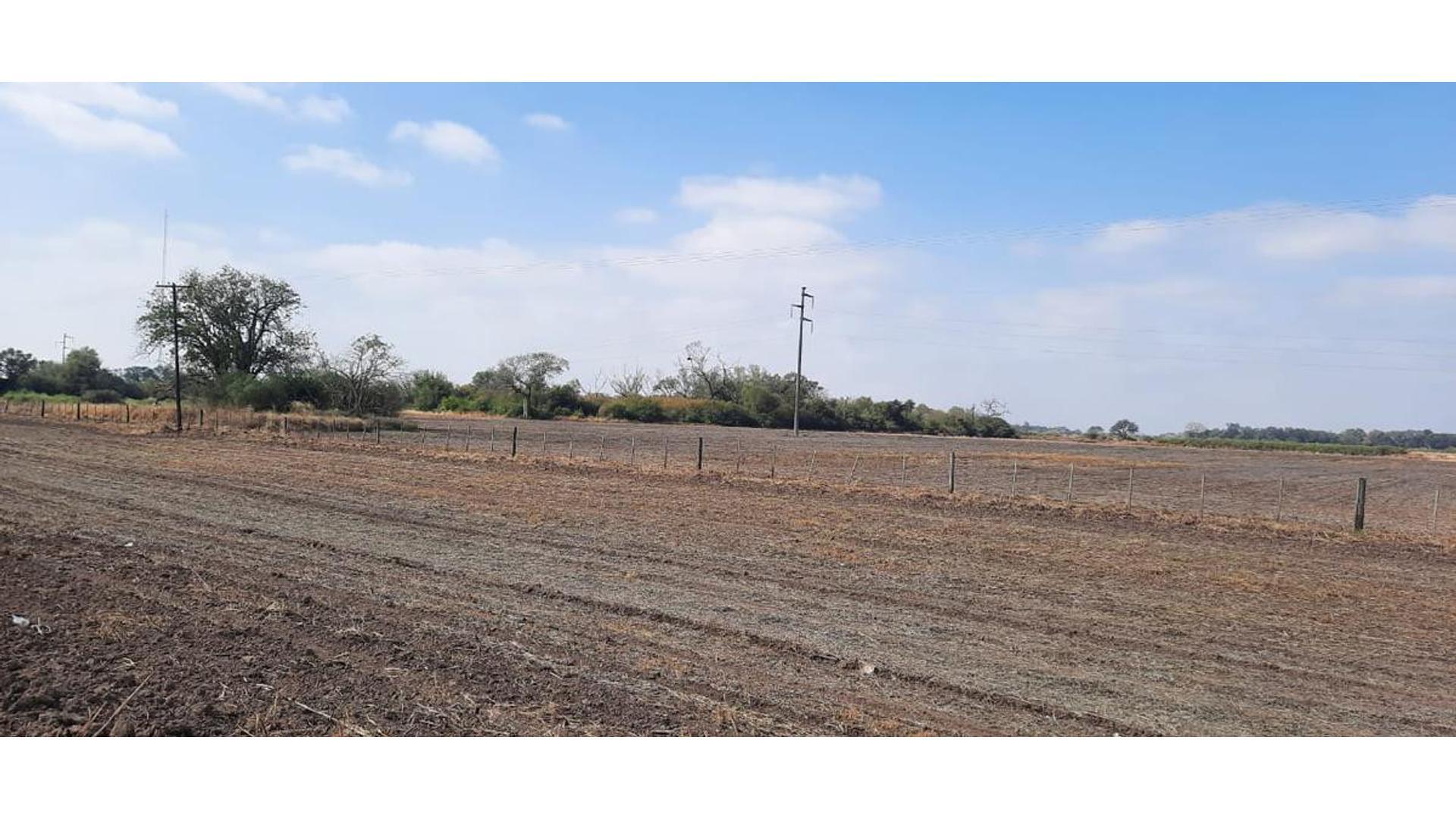 Campo 75Ha. en Venta, Roque Saenz Peña, Chaco, Cod.3005