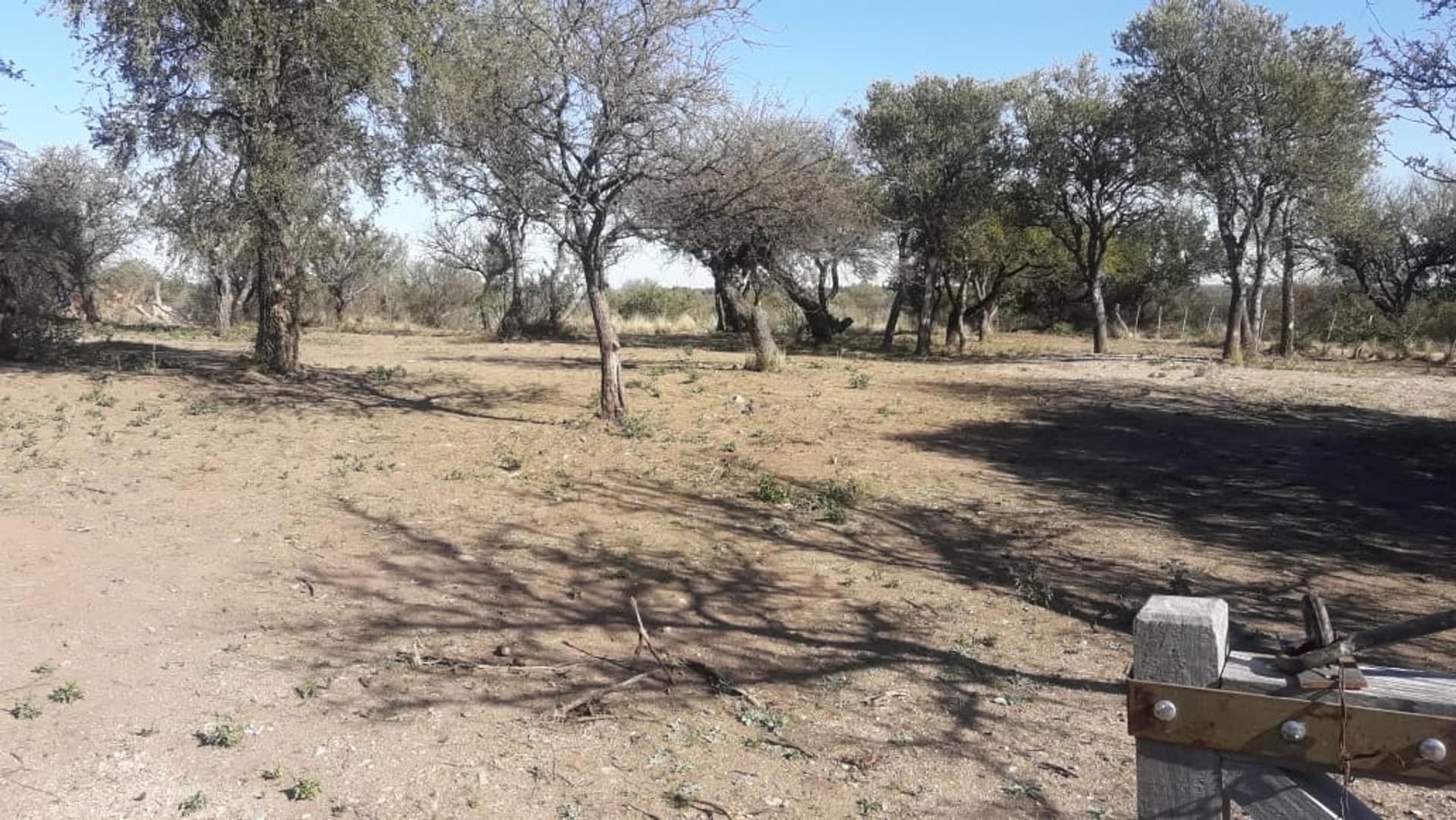 VENTA DE LOTE, EN CERCANÍA MERLO SAN LUIS 
