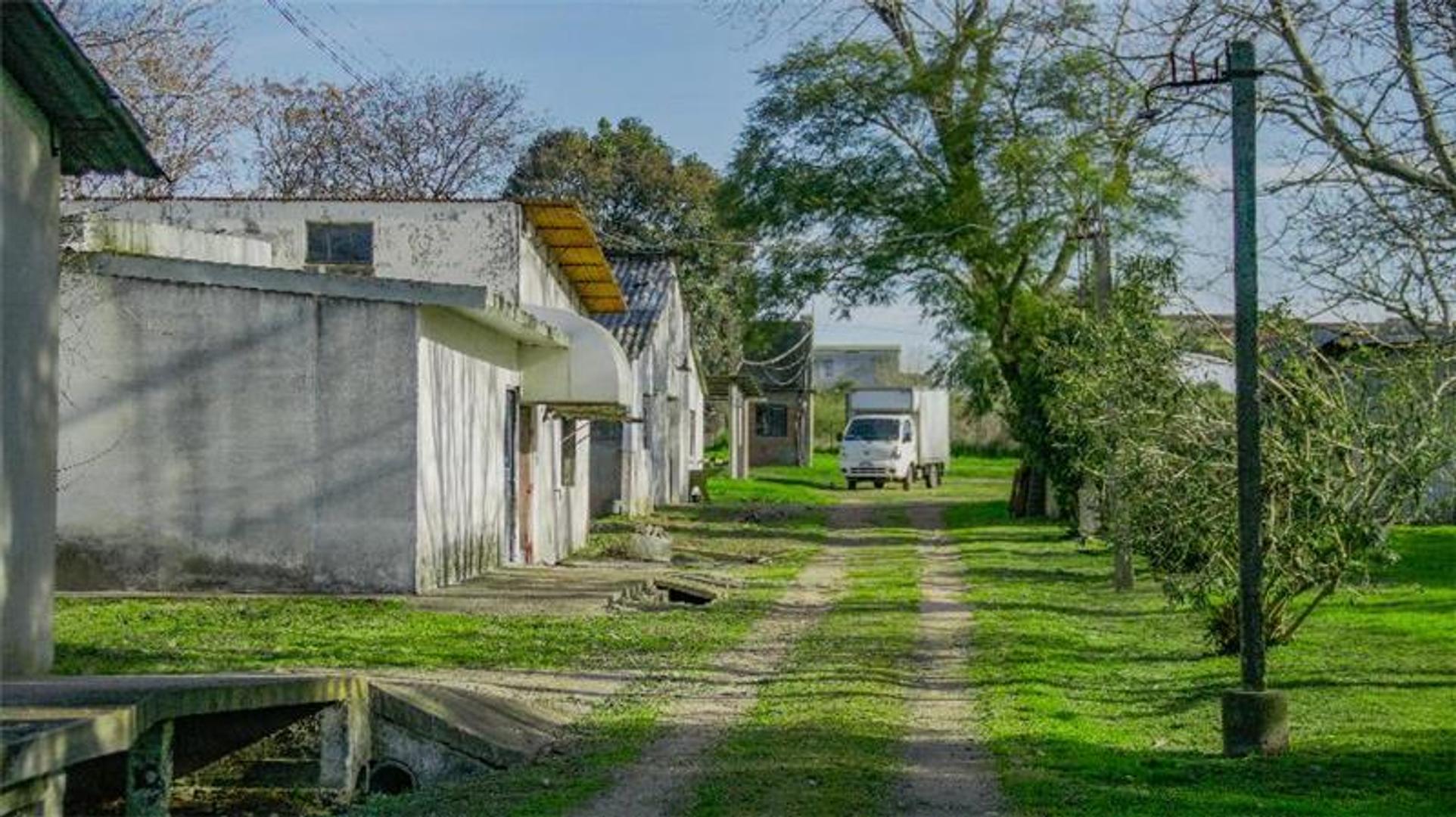 Vivienda y Depósitos - 1738 m² Construidos