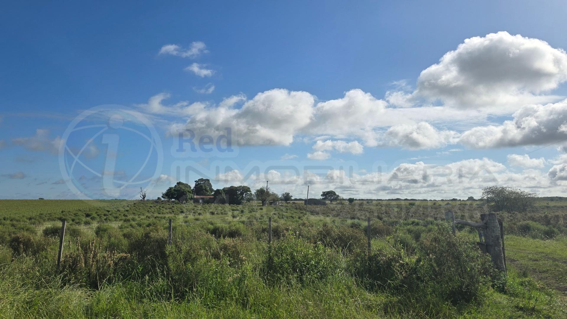 Colonia El Potrero Uno