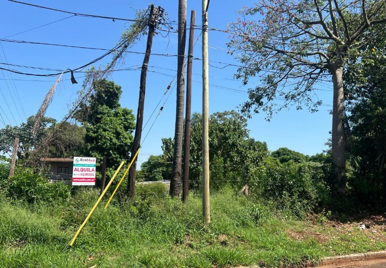 (A218) Terreno en alquiler sobre Av. Blas Parera