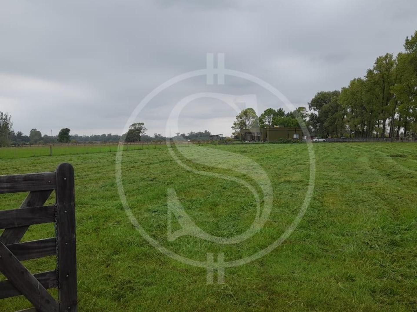 CHACRA EN VENTA CON HARAS CLUB HOUSE EXALTACION DE LA CRUZ