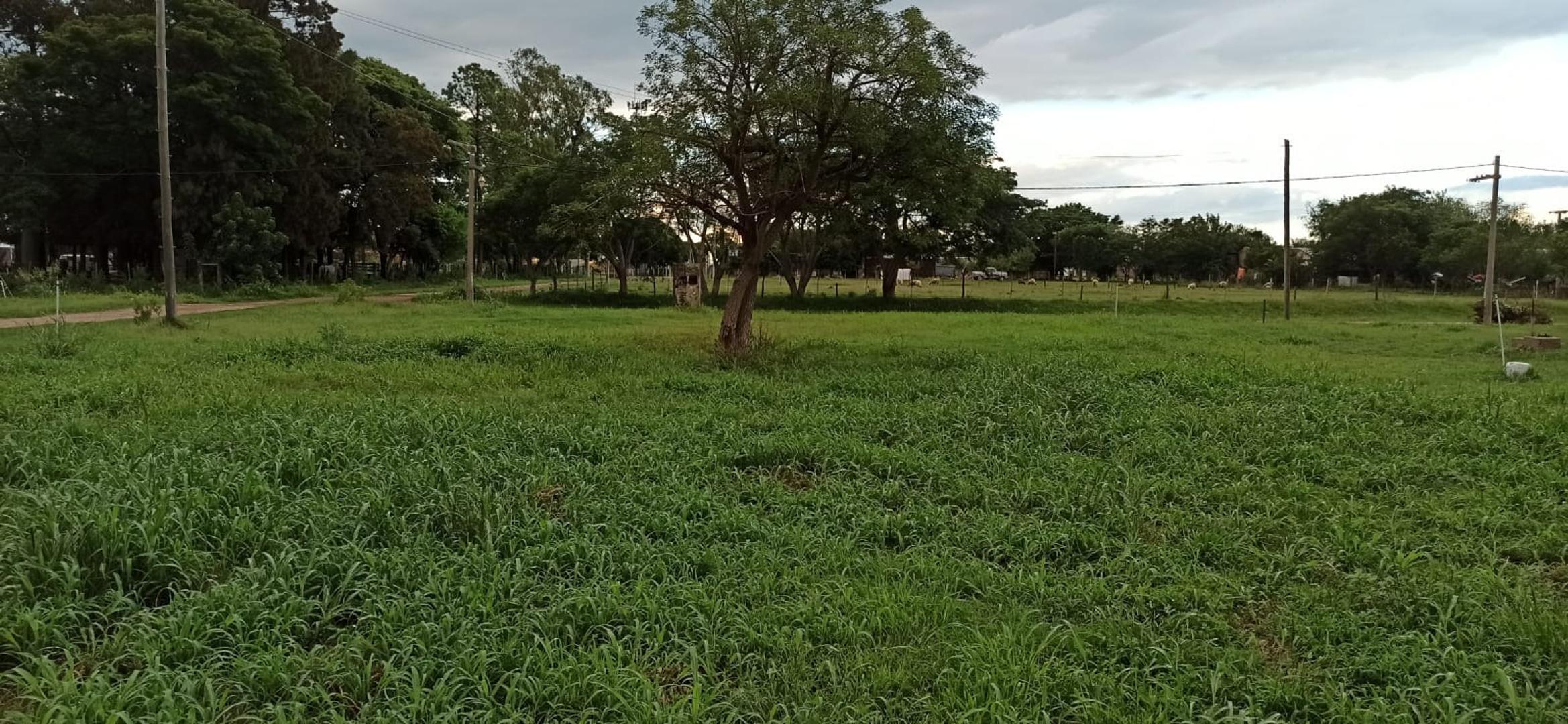 Terreno en Venta de 468,0 m2