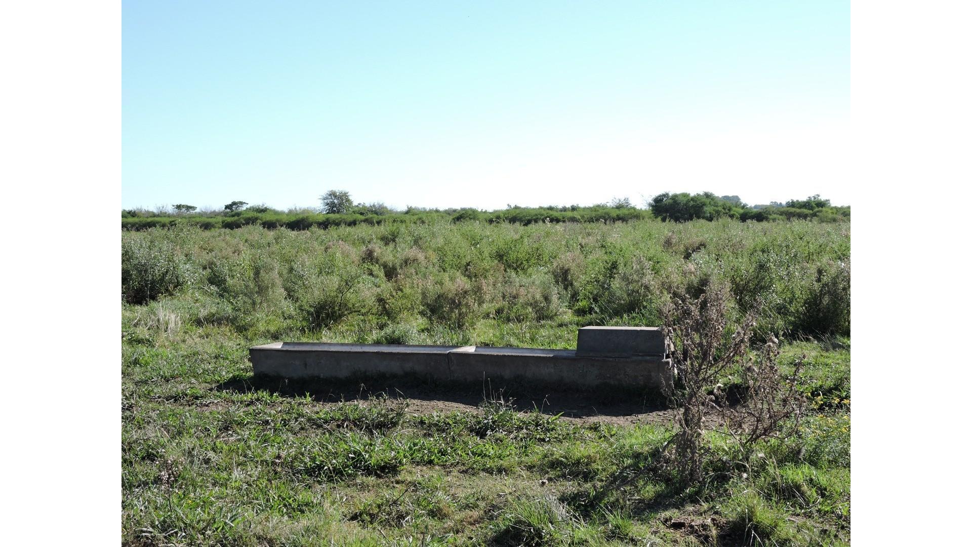 Campo de 230 Hás. en Gualeguaychú.