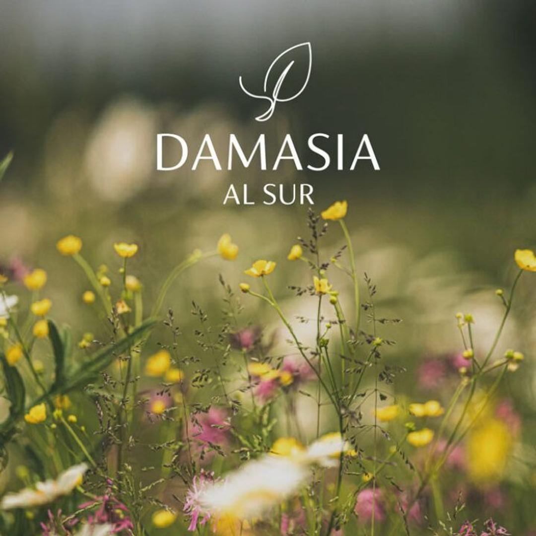 Barrio Privado Damasia Al Sur 238 I