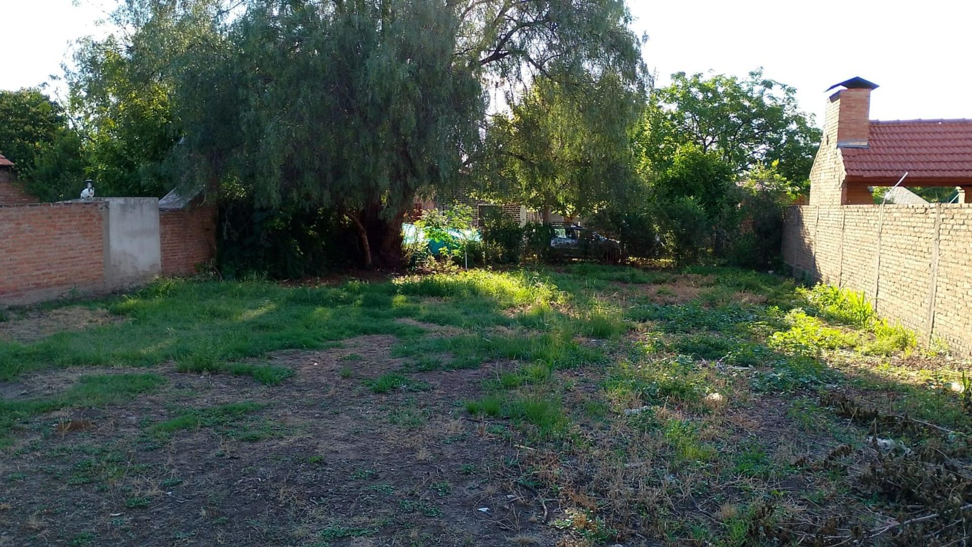 Terreno en Venta en Centro, USD 55.000