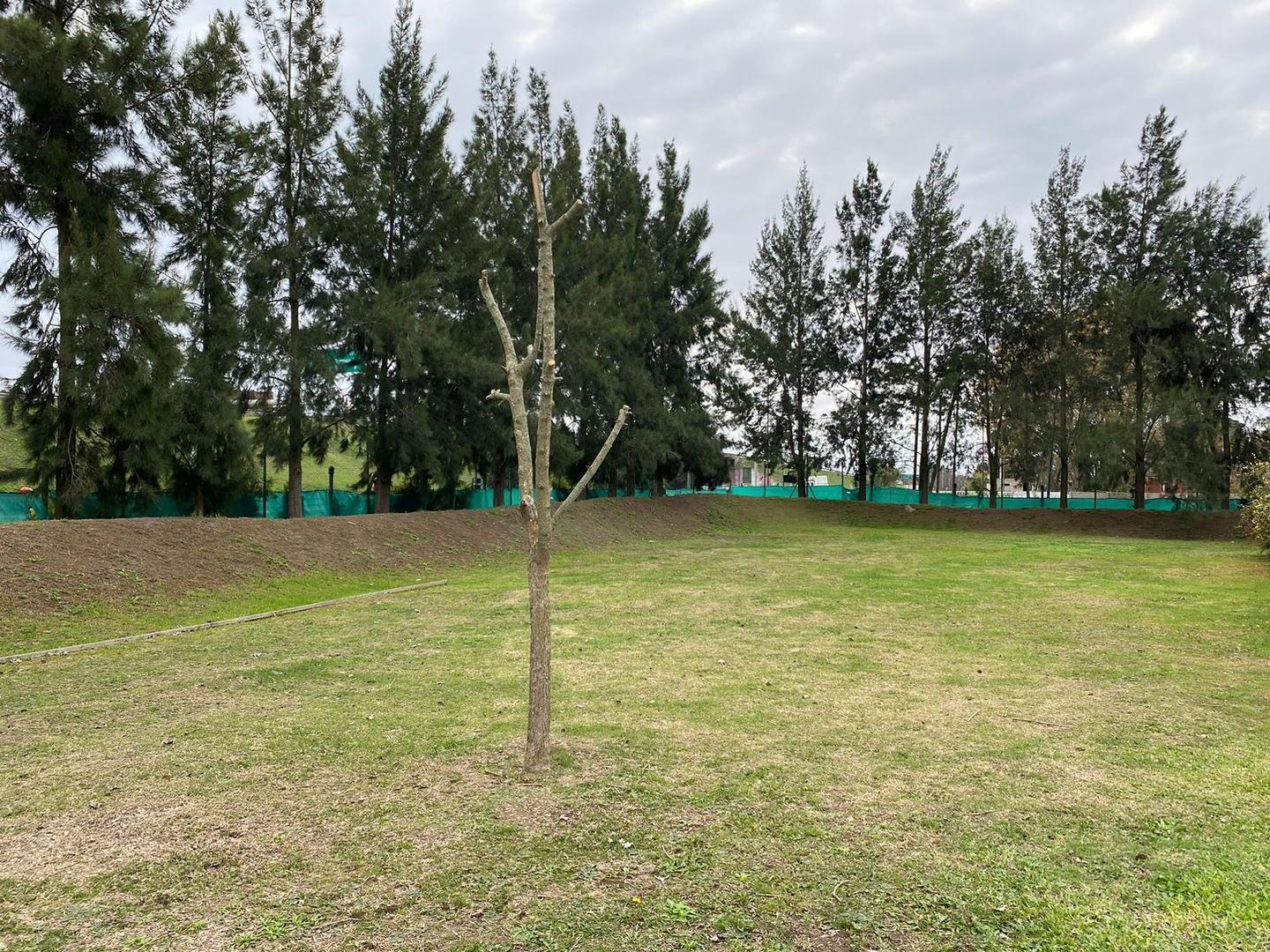 Terreno en Venta de 991,0 m2