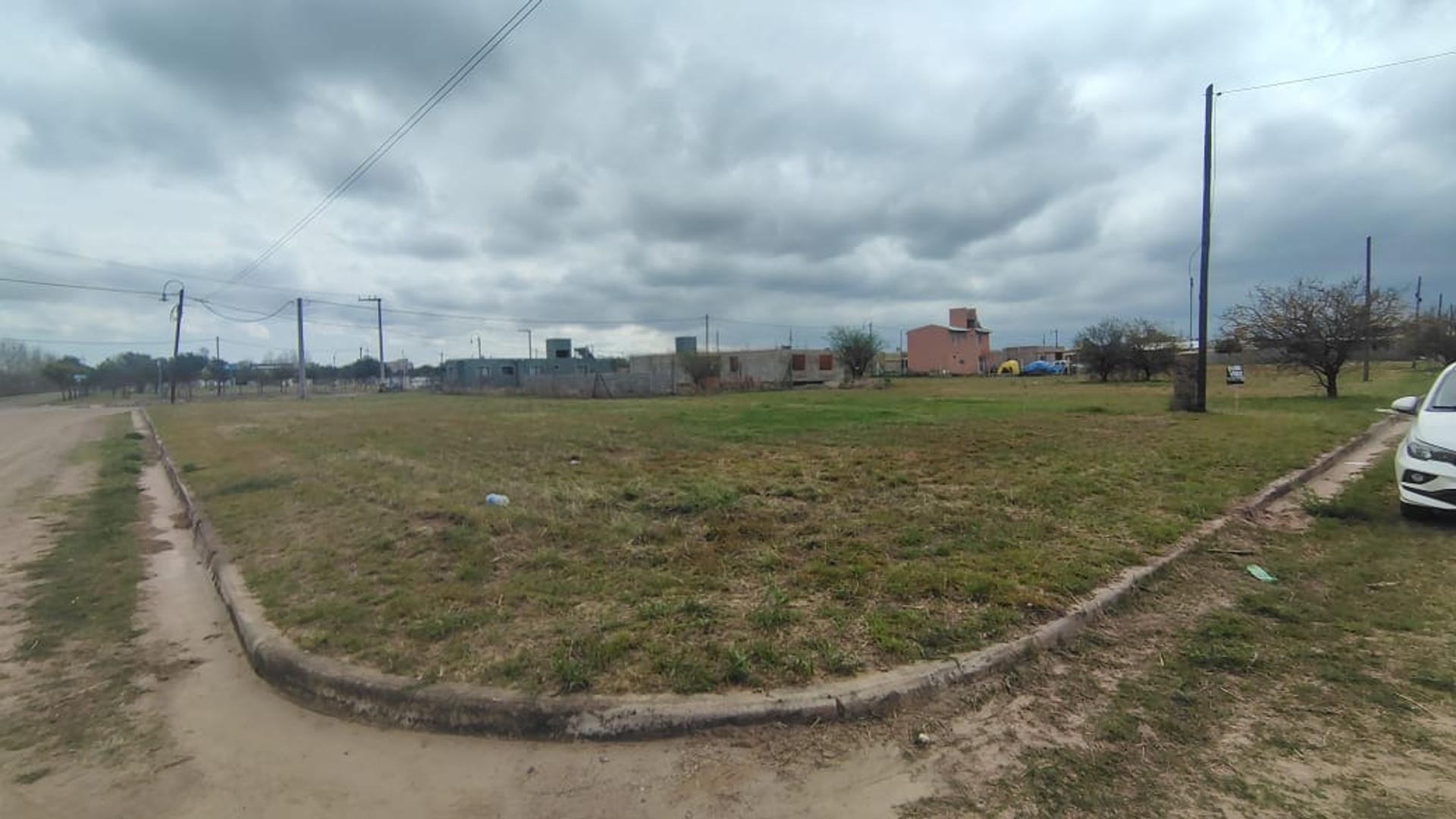 Altos De La Colonia 100