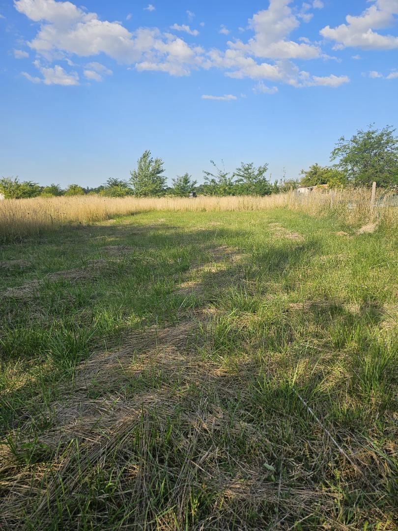 EXCELENTE LOTE EN DOMSELAAR SOBRE LA RUTA 210