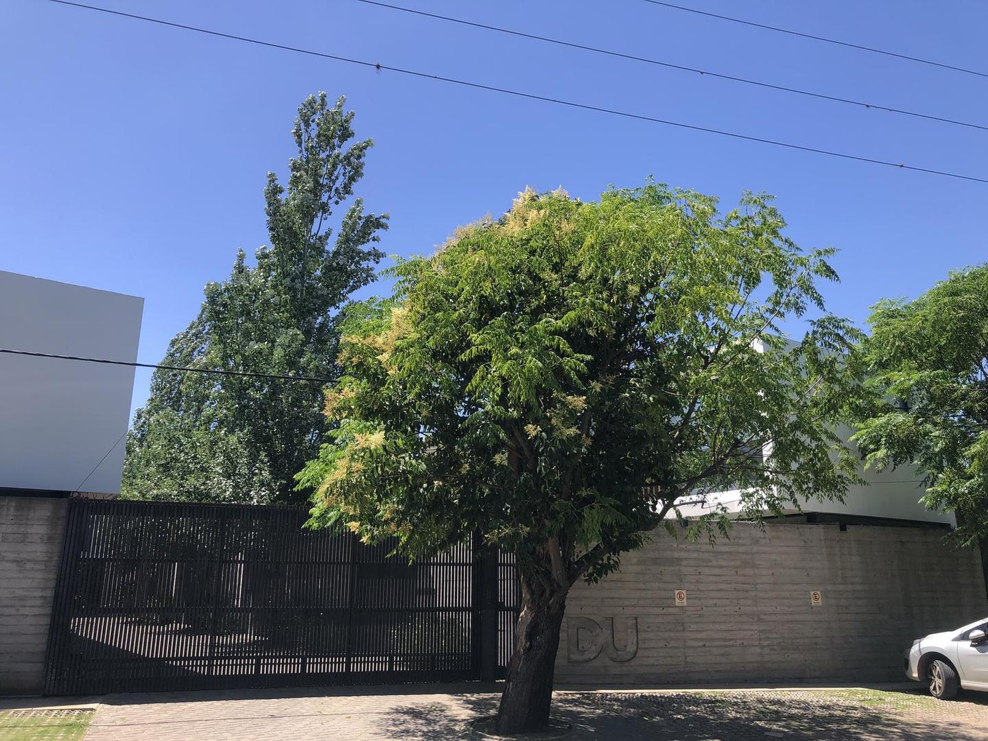 462 e/ 23 y 24 Complejo DU