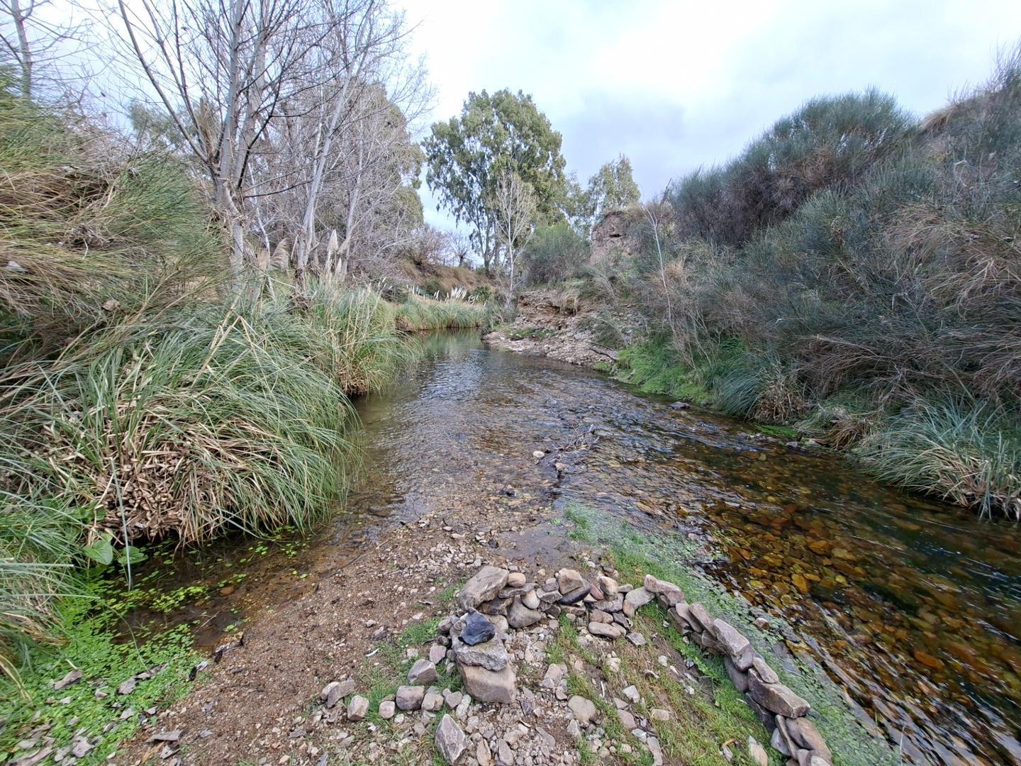 Cabaña Madera en 1 hectárea arbolado costa Arroyo Ventana