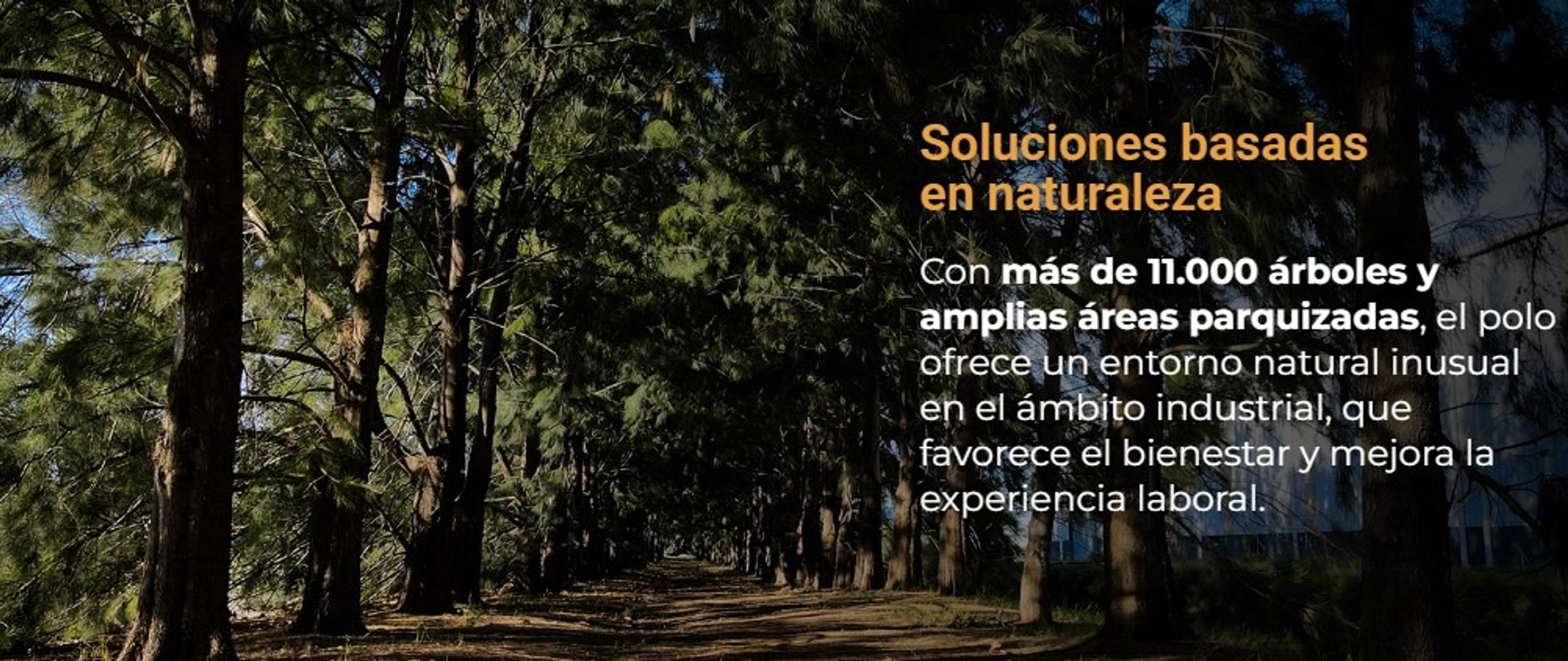 Terreno en Venta en Polo Industrial Ezeiza, USD 350.000