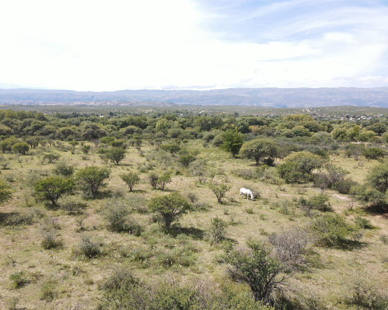 Terreno en Venta en Nono, USD 95.000