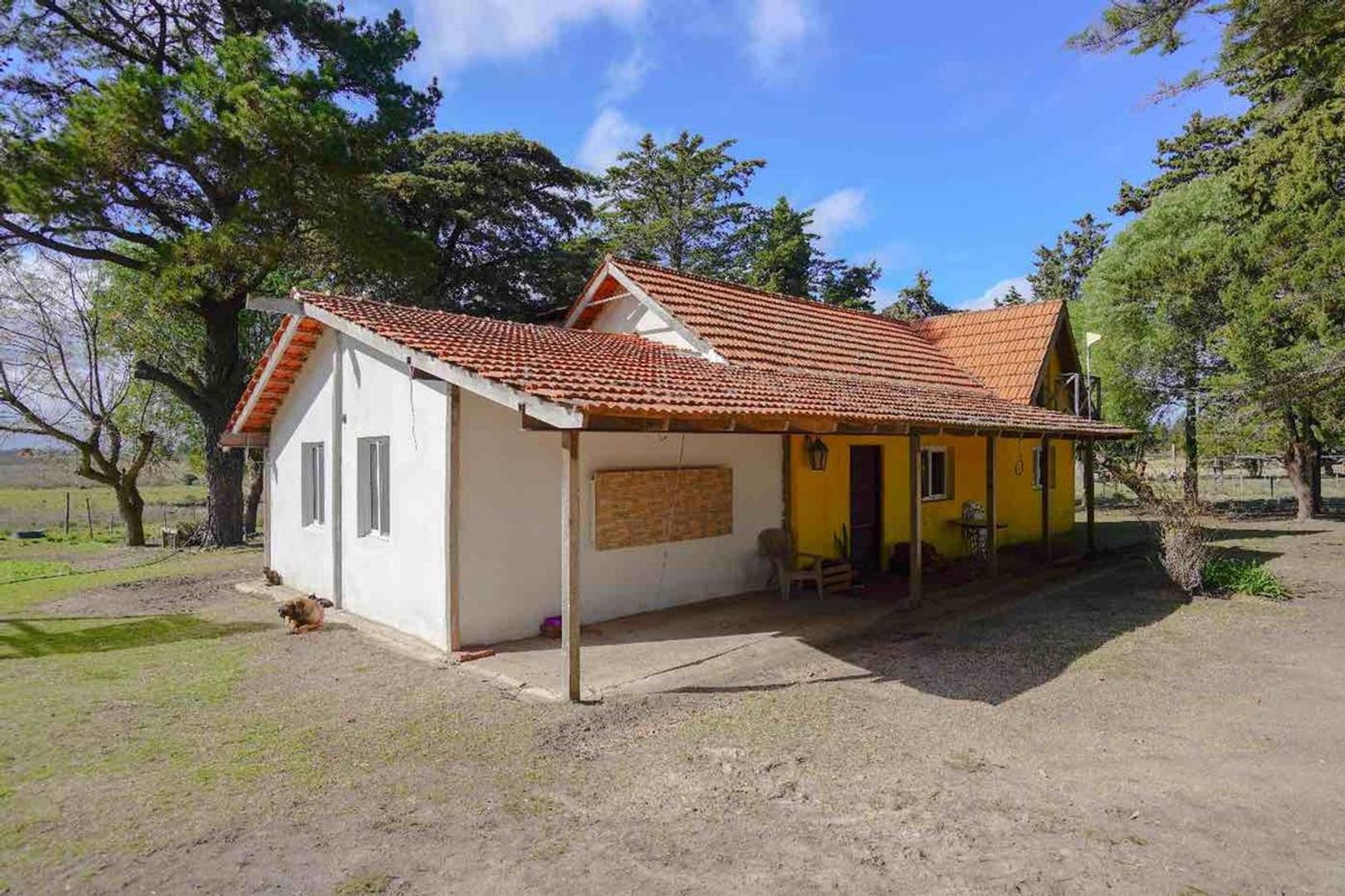 Vendo Financio chacra campo casa Ruta 8 y Ruta 11