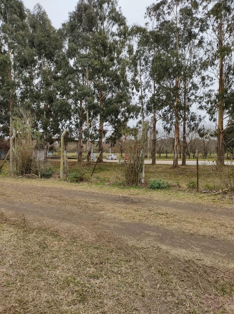 EXCELENTE CAMPO /CHACRA DE 12HA.