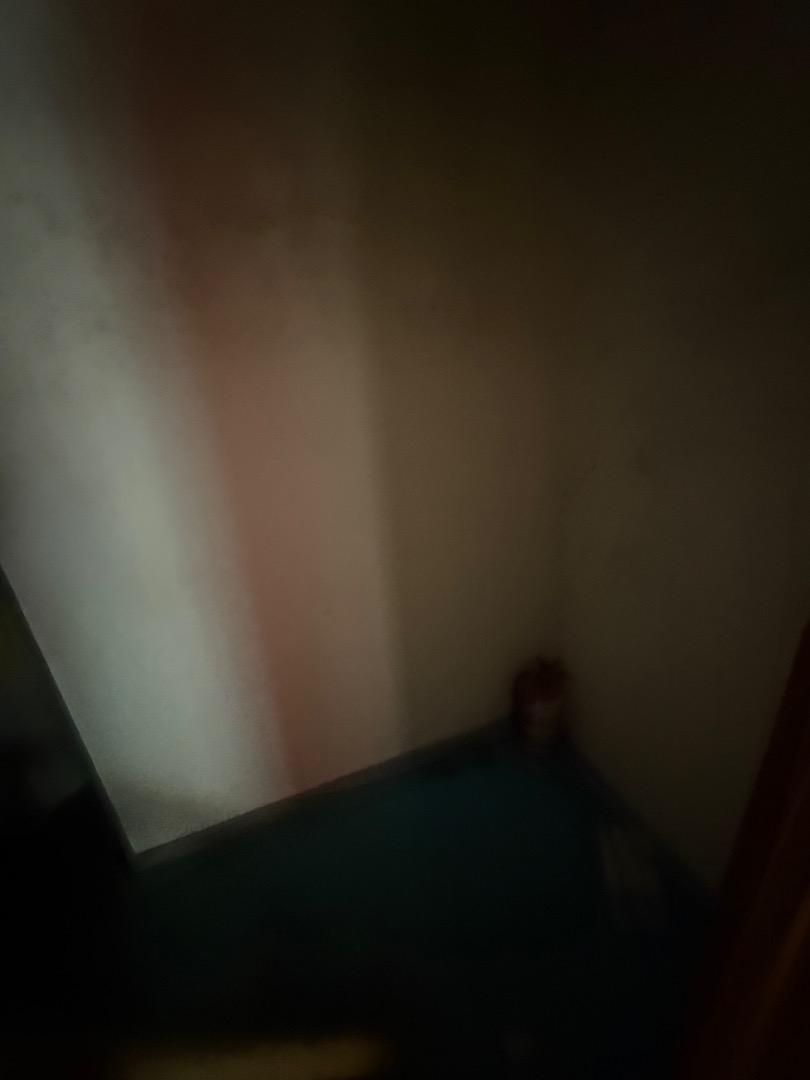 Local en Alquiler en Remedios de Escalada, $ 650.000