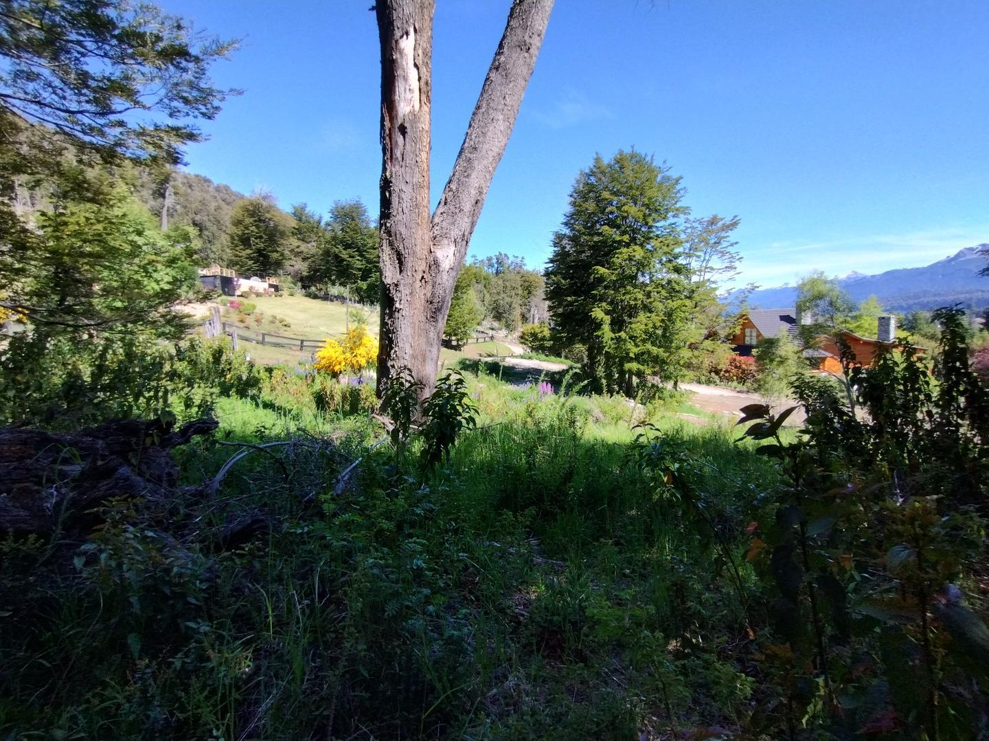 Terreno en Venta de 1207,0 m2