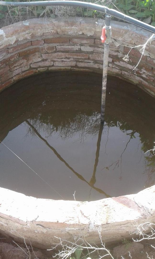 1000 ha en Venta - Herrera - Santiago del Estero