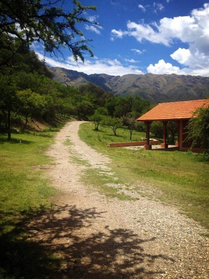 Camino Damiana Vega ( Cuesta De La Granadilla) Sn