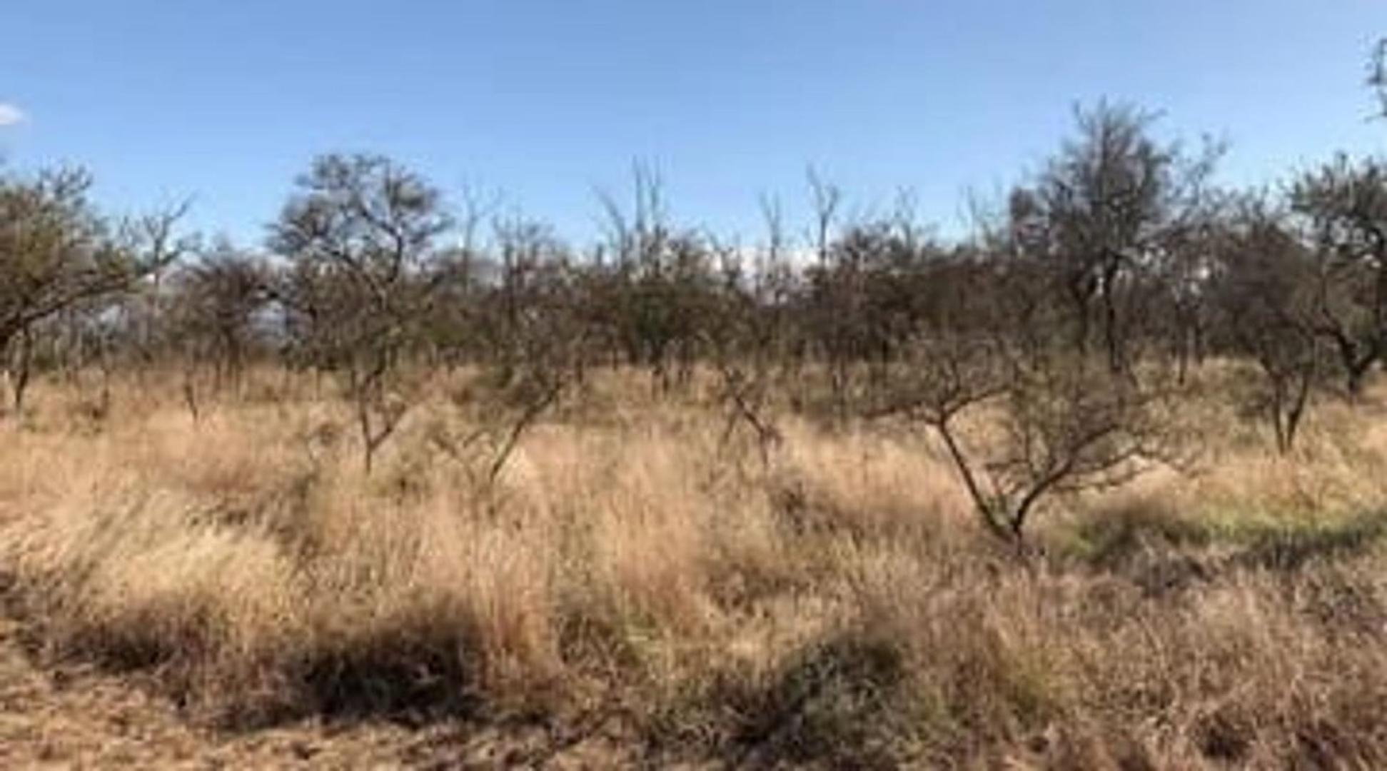 31°56'25.0"S 64°33'11.3"W