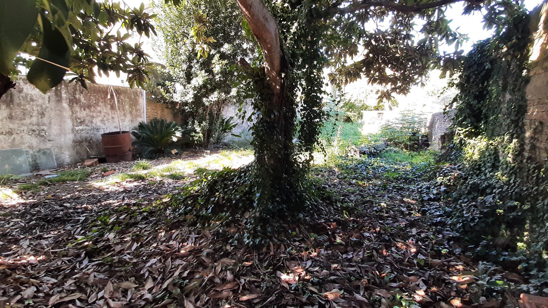 Terreno en Venta de 320,0 m2