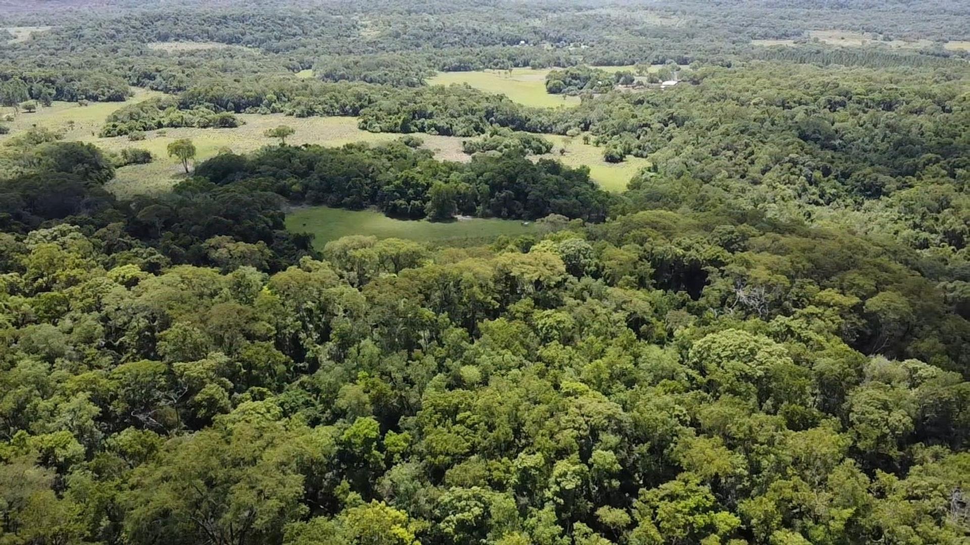 CHACRA EN CERRO CORA 22 HAS