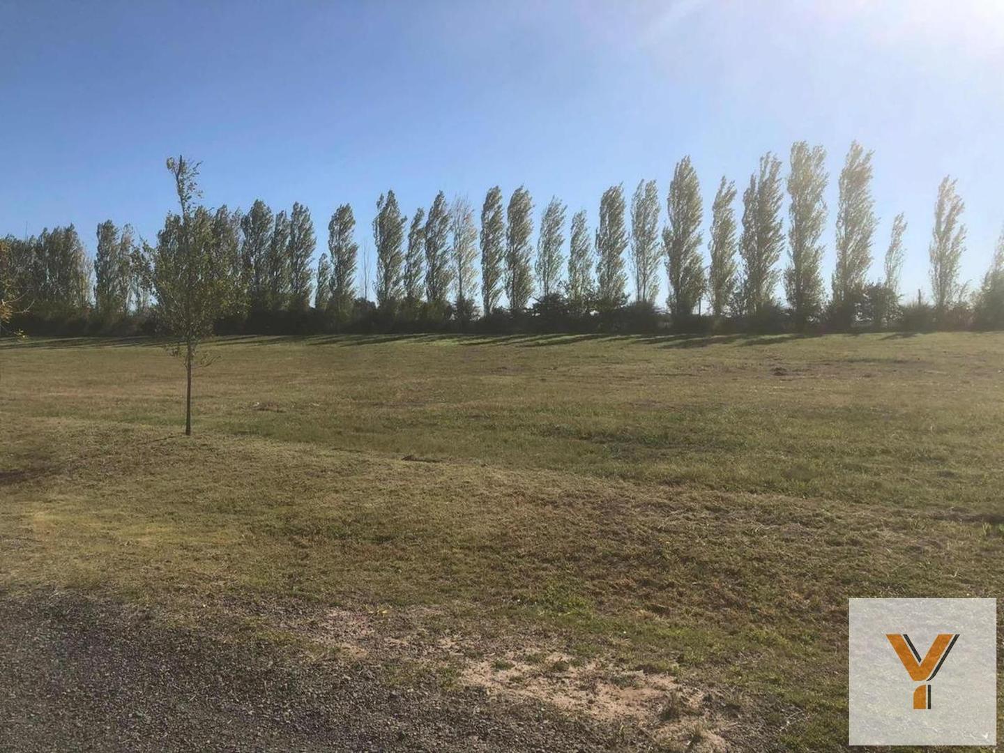 Terreno en venta - 905mts2 - Luján