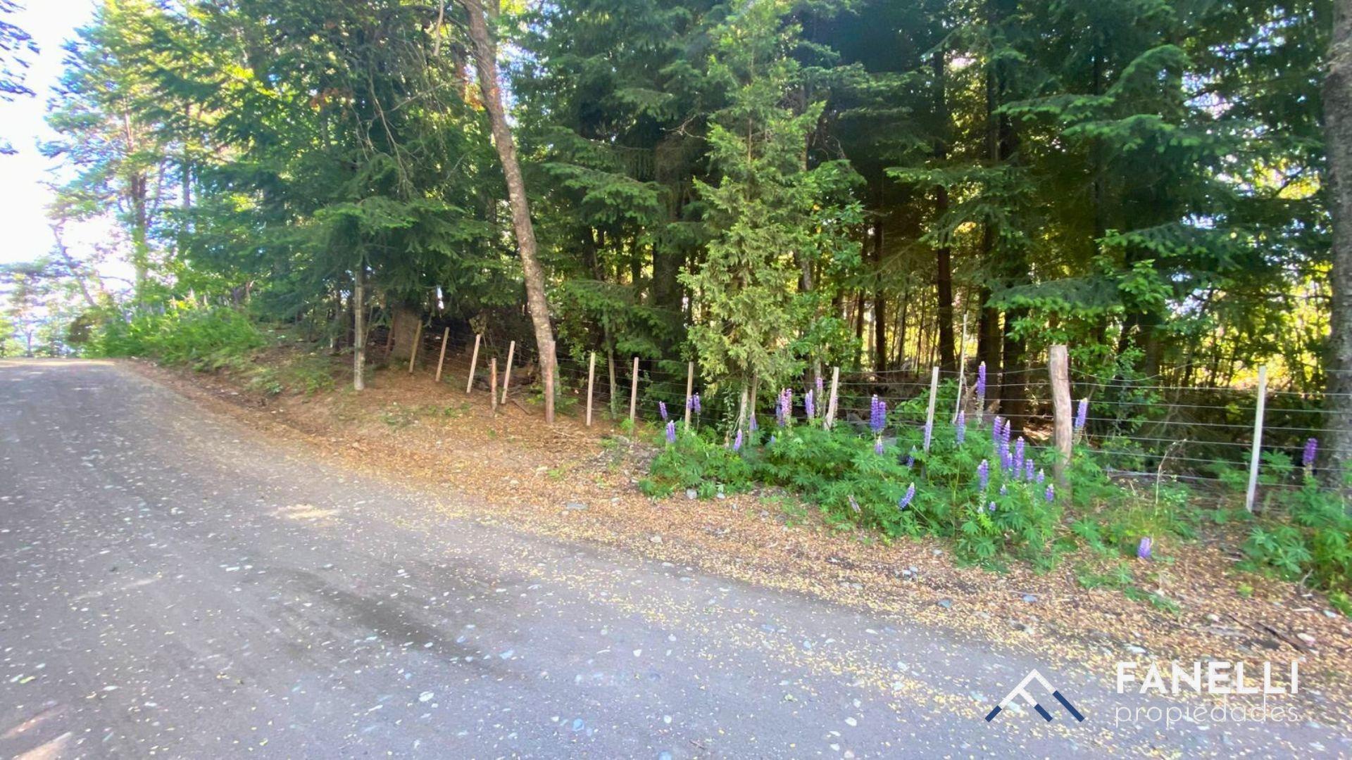 Terreno en Venta en Puerto Manzano, USD 126.000